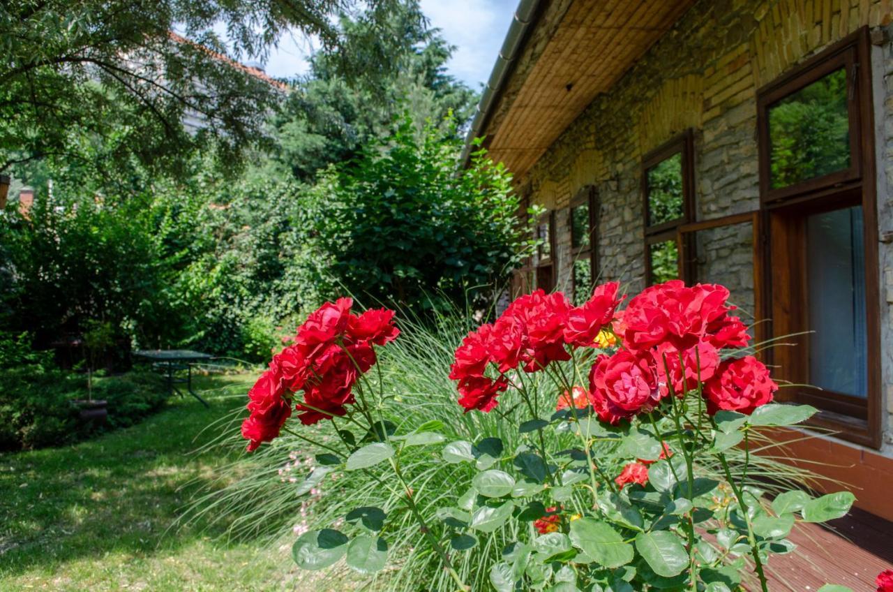 Kohaz Apartman Apartment Veszprém Екстериор снимка
